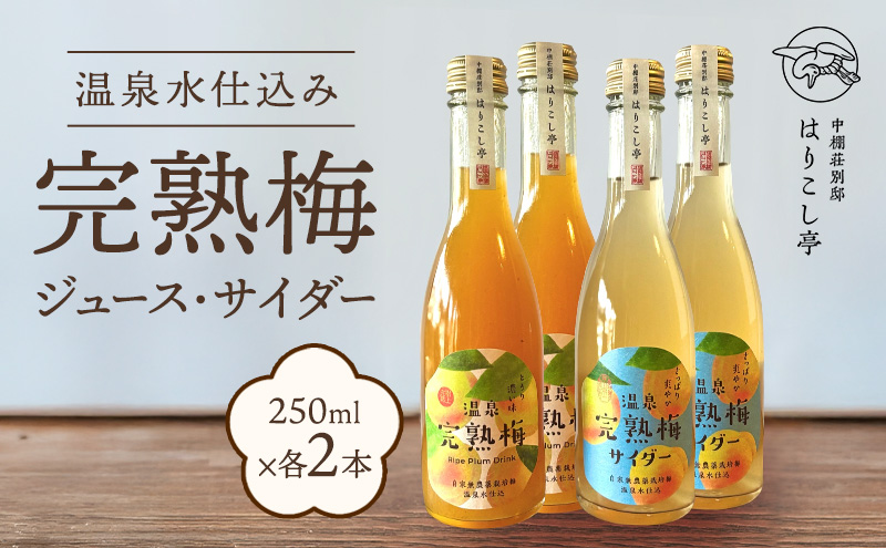 梅ジュース＆梅サイダー　250ml×各種２本　中棚温泉　長野　信州　小諸