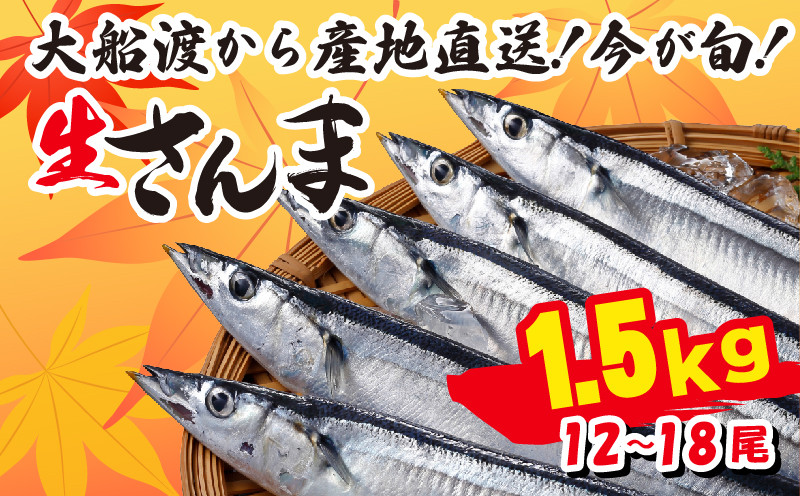 
【先行予約受付】 さんま 約1.5kg 12尾～18尾 冷蔵 鮮秋刀魚 期間限定 [発送:2024年9月下旬～2024年11月下旬] 三陸 岩手 大船渡市
