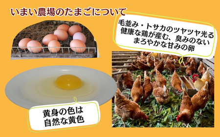 BQ4　平飼い 有精卵 20個 と プリン 6個　いまい農場　【 セット 国産 濃厚 卵 たまご 有精卵 デザート スイーツ スィーツ 贈り物 兵庫県 宍粟市 しそうし 】