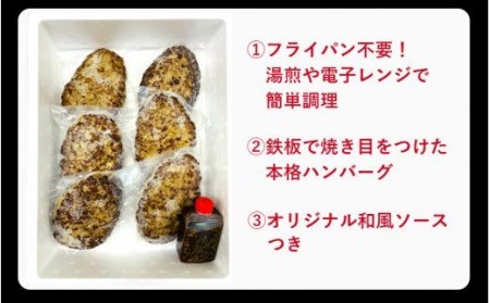 1820R_おおいた和牛と大分県産の豚を使った大分プレミアムハンバーグ6個入り（計960ｇ）