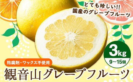 観音山グレープフルーツ 3kg 有限会社柑香園《2027年1月上旬-2月下旬頃出荷》和歌山県 紀の川市 フルーツ 果物 柑橘 グレープフルーツサンタマリア