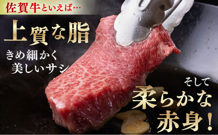 【毎日の食卓に、佐賀ブランドを。】佐賀の肉 普段使いセット（佐賀牛・肥前さくらポーク） 【JAさが 杵島支所】牛肉 豚肉 しゃぶしゃぶ 肉[HAM078]