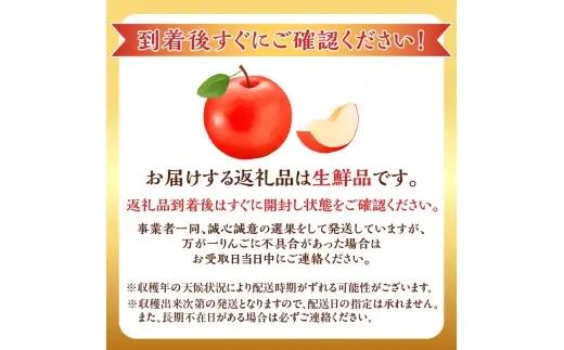 【先行予約：2026年10月中旬より発送】訳アリ りんご（早生ふじ）2.8kg【北海道余市町産】_Y103-0091