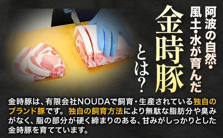 【3回定期】 阿波の金時豚 切り落としミン4.5kg 豚肉