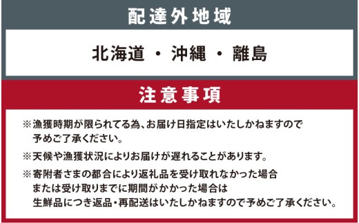 【先行予約】越前がに 大 （1.3kg以上） 1杯【11月～12月配送】ズワイガニ ずわいがに ズワイ蟹 越前ガニ ボイル 刺身 蟹 鍋 しゃぶしゃぶ 冷蔵  カニ 鍋 冬 海鮮 かに 国産 南越前町 福井県　送料無料