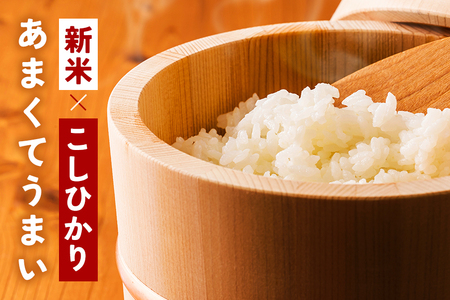 【ふるなびWEEK対象】 小西農産 令和7年産 コシヒカリ 5kg 米 KE-001 FN-Limited-PR