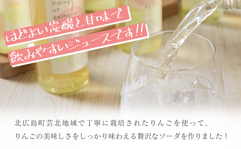 芸北りんご便り（りんごソーダ）20本セット