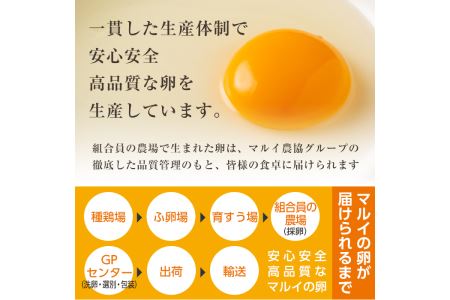 i020 鹿児島県産 赤たまご マルイの輪 卵 36個 (6個入り×6パック)【マルイ食品】