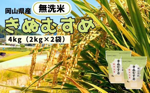 【令和7年産】無洗米 きぬむすめ 4kg 2kg×2袋 岡山県産 【先行予約 2025年11月上旬から順次発送】