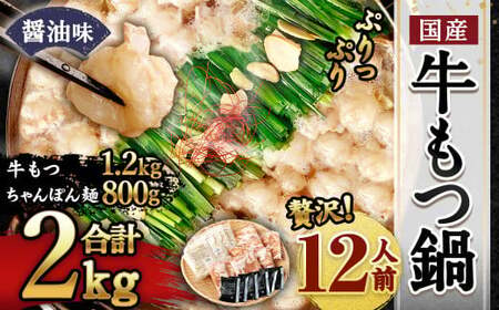 【2025年10月発送】国産 牛もつ鍋 12人前 ちゃんぽん 濃縮スープ付（醤油味）