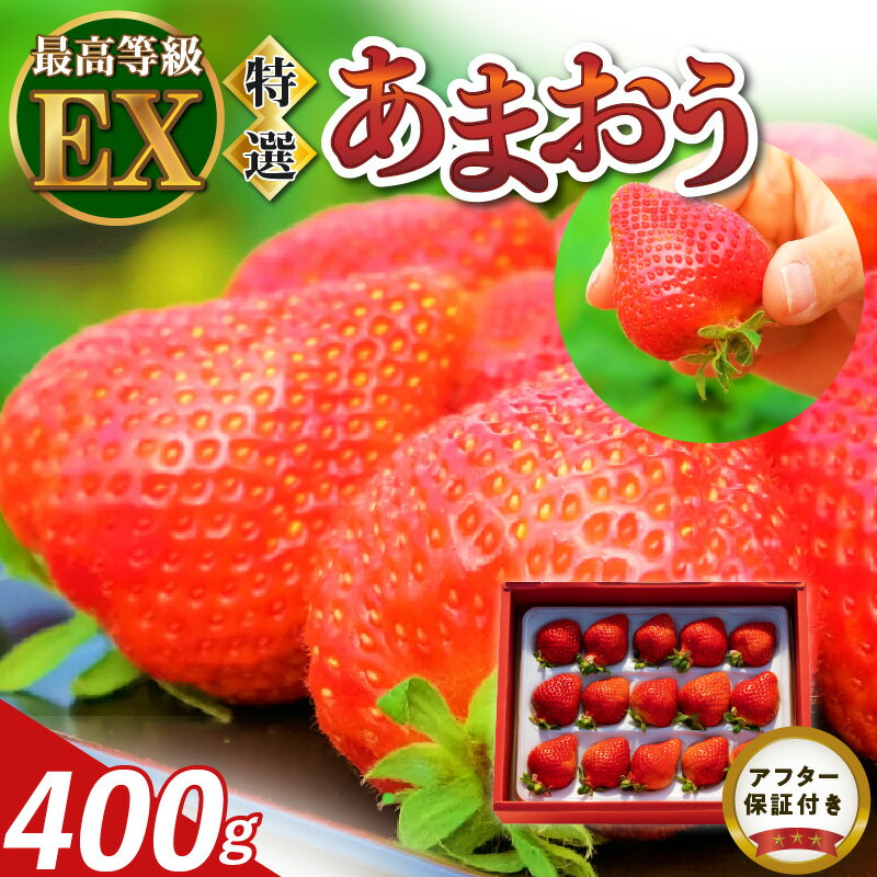 【ふるさと納税】数量限定 厳選 あまおう 400g 特別栽培 いちご エクセレント EX 認定農家 大きい うるう農園 福岡県 久留米市 採れたて 農家直送 フルーツ 果物 冷蔵 贈答用 一粒 丁寧な梱包 贈り物 お歳暮 お取り寄せ 送料無料