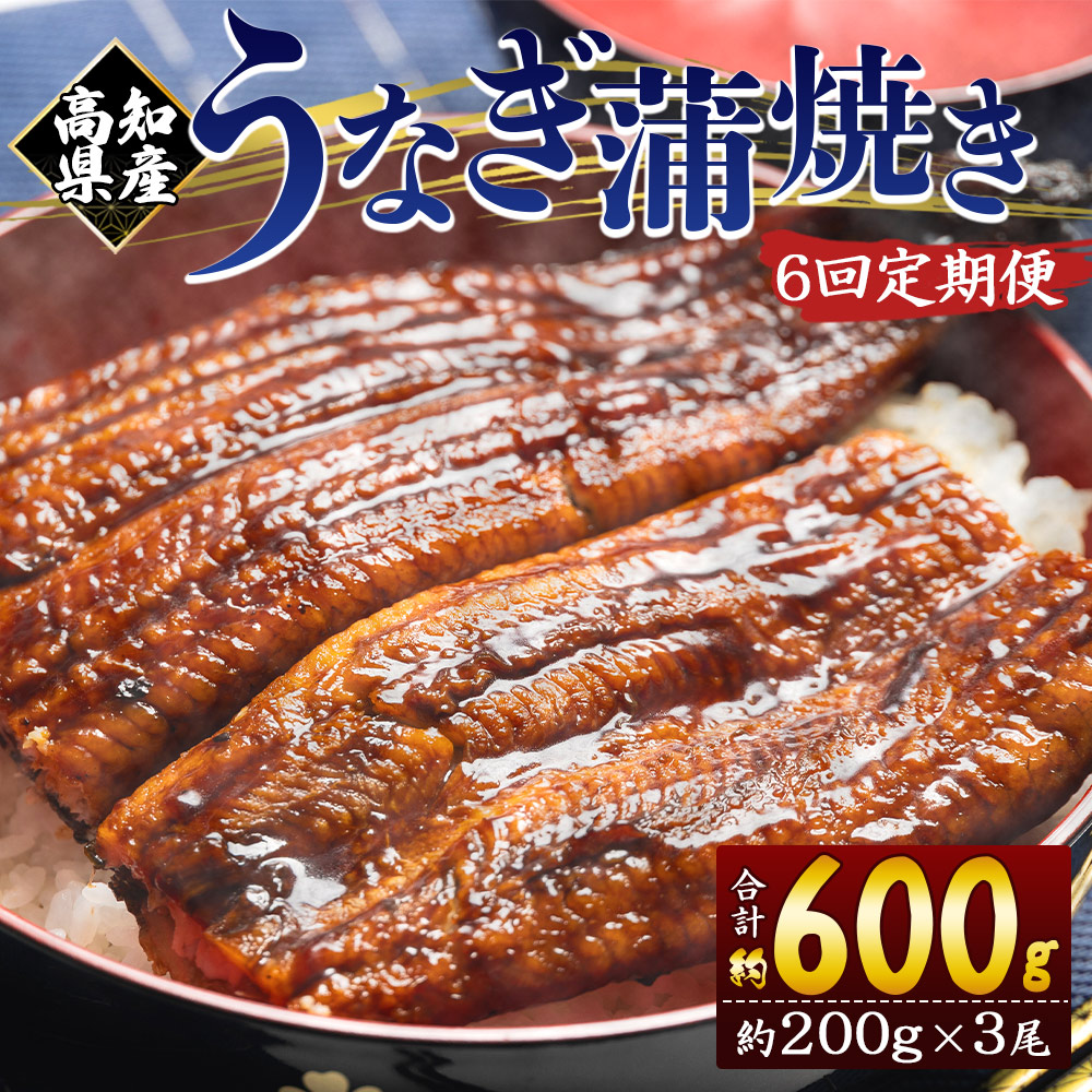 【６回定期便】高知県産養殖うなぎ蒲焼き 約200g×３尾 うなぎ 魚介 国産 海鮮 魚 かばやき 鰻 ウナギ 惣菜 おかず お手軽 加工品 加工食品 冷凍 Wfb-0055