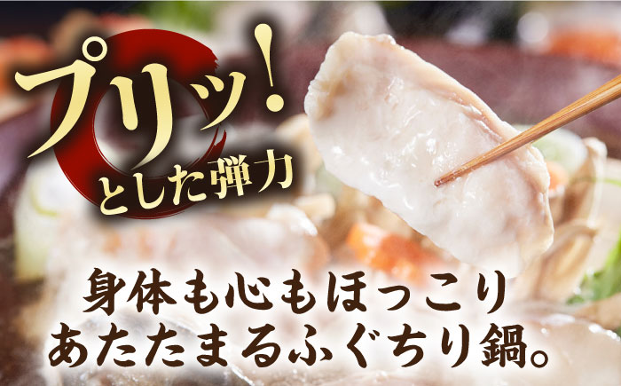 【全12回定期便】とらふぐ鍋セット（3～4人前） [JDT020] フグ ふぐ とらふぐ てっちり ちり鍋 ふぐちり 鍋 海鮮鍋 564000 564000円