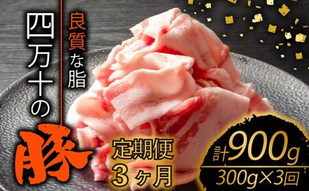 【全3回】高知県産 ブランドポーク 豚肉定期便 切り落とし 計900g（300g×3ヶ月) 豚肉 豚肉 豚肉 豚肉 豚肉【TM24000】