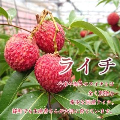 ふるさと納税 綾町 生ライチ お裾分け6パックセット
