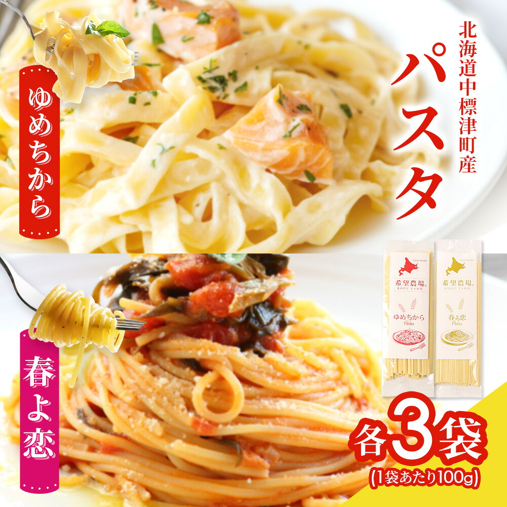 【ふるさと納税】北海道中標津町産「春よ恋」パスタ・「ゆめちから」パスタ 各3袋（合計6袋） | 春よ恋 ゆめちから 食べ比べ 北海道小麦のもちもちパスタ 国産小麦 本格パスタ 小麦の香り 旨み 堪能 北海道産 常温保存 麺類 お取り寄せ 北海道 中標津町 中標津【82006】