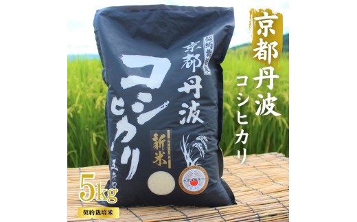 [№5334-0315]令和7年産 京都丹波産 こしひかり 5kg 契約栽培米 白米 精米 お米 こめ コシヒカリ 令和7年 ご飯 ごはん 京都 京都府 南丹市