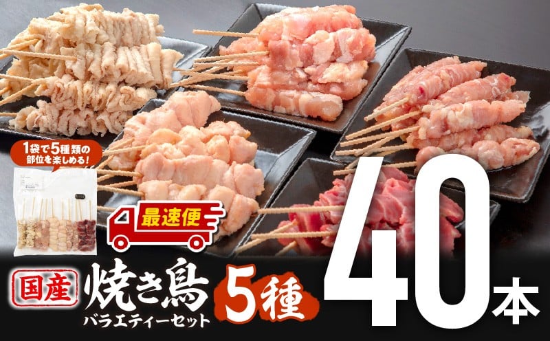 
                  【発送時期が選べる】若鶏の焼き鳥セット5種(40本)バラエティーセット 鶏肉 肉 お肉 焼き鳥 焼鳥 串焼き セット 詰め合わせ 焼鳥セット 焼き鳥セット もも せせり 皮 ぼんじり 砂肝 部位 国産 九州産 産地直送 BBQ 若鶏 冷凍  食べ比べ 味比べ 部位比べ アウトドア グランピング キャンプ バーベキュー 焼肉 人気 おすすめ 盛り合わせ 宮崎県 宮崎市 宮崎_M146-015-SKU
                