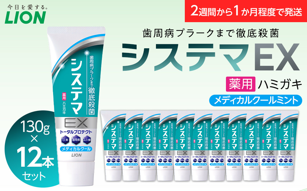 ＬＩＯＮ システマＥＸ（メディカルクール）１２本セット 142069_CR008