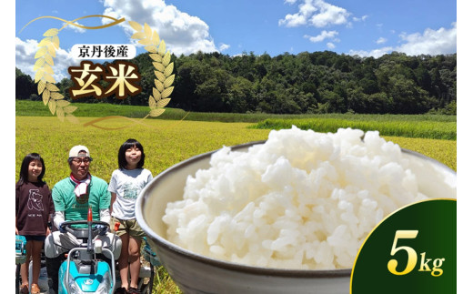 京都 丹後産コシヒカリ（玄米5kg）農家直送 こしひかり お米 おこめ こめ ご飯 ごはん MD00001