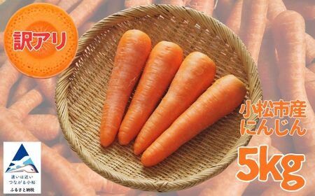 訳あり にんじん 5kg 人参 野菜 | 石川県 小松市 JAあぐり