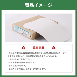 KPS-R35 ヨシコピー用紙　B5 500枚×5冊/1箱　合計2,500枚 複合機 印刷 送料無料 BB08