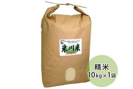 米川 こしひかり　精米　10kg （5kg×2袋） ／ お米 コシヒカリ 白米 希少品 山口県 特産品 No.018