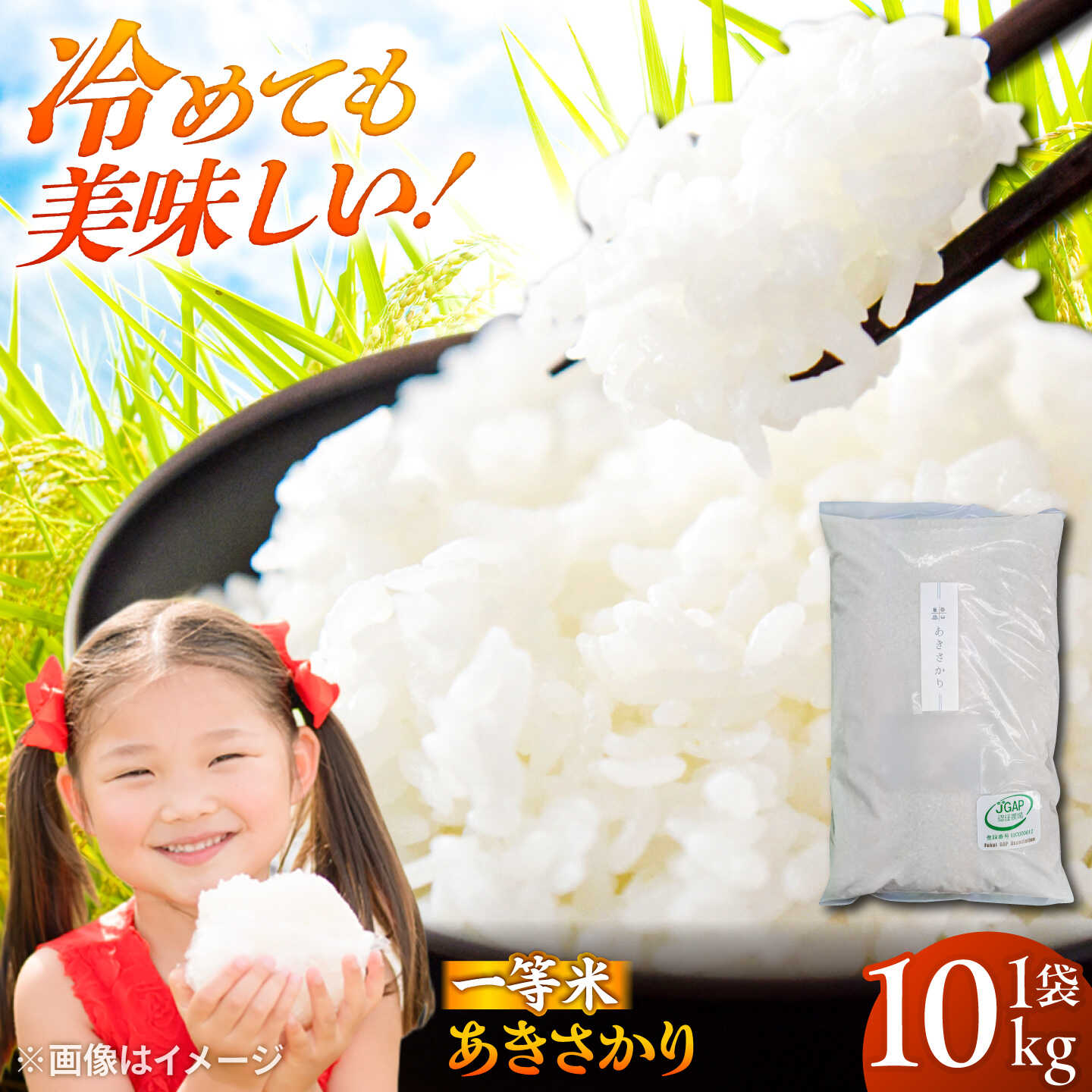 【ふるさと納税】【先行予約/10月下旬以降順次発送】【令和8年産】お米10キロ 福井県産 あきさかり 米 10kg 白米 新米 若狭の恵 [A-002061] [BFAG014]