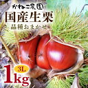 【ふるさと納税】笠間の栗・かねこ農園の生栗　品種おまかせ1kg（3L） 栗 クリ くり 生栗 茨城県 笠間市 送料無料