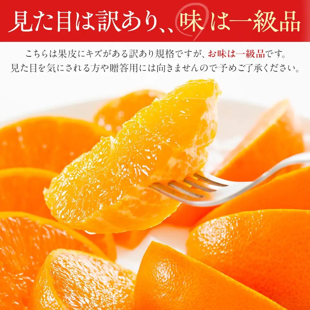 訳あり せとか 2.5kg M～2Lサイズおまかせ 高石垣ファーム