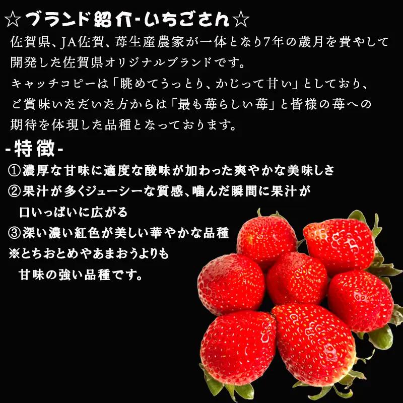 『先行予約』【令和9年3月より順次発送】唐津産 いちごさん 約250g×6パック(合計約1.5kg)