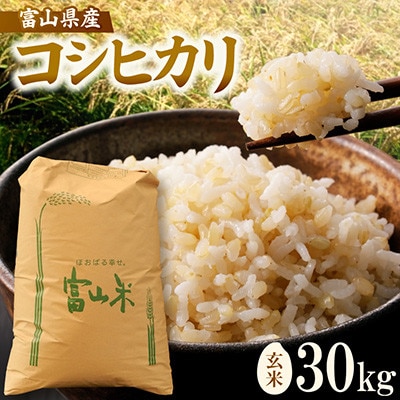 令和8年産「コシヒカリ」玄米30kg×1袋