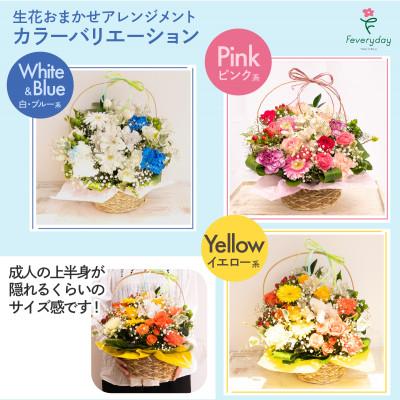 ふるさと納税 佐倉市 生花お任せアレンジメントL 白・ブルー系 お祝いやお誕生日におすすめ |  | 02