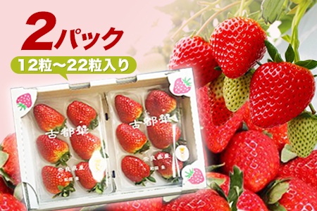 和だや『古都華』2６0×２パック【大粒】