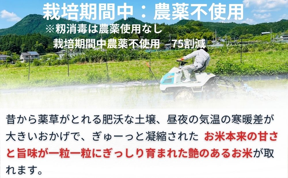 【定期便6回】ひとめぼれ 低農薬栽培＜令和7年産 玄米 2kg ＞ / ふるさと納税 低農薬 米 お米 こめ コメ 国産 新米 玄米 一等米 農家やまおか 奈良県 宇陀市