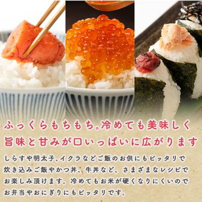 ふるさと納税 男鹿市 《定期便5ヶ月》令和7年産【無洗米】 あきたこまち 20kg|23_kml-022005 |  | 03