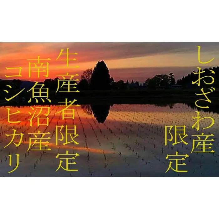 【令和7年】【定期便2kg×9ヶ月】しおざわ産限定 生産者限定 南魚沼産コシヒカリ｜定期便