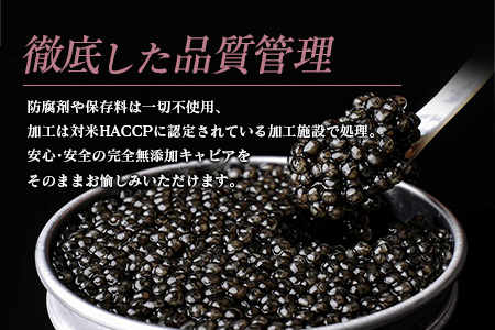 ≪数量限定≫1983 J.CAVIAR バエリ うま味(20g)　キャビア　魚　魚介　国産 GD3-22