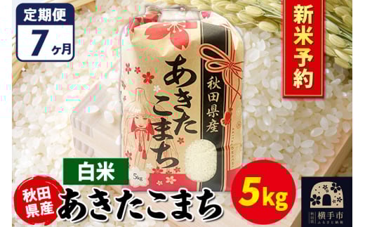 《令和7年産 新米受付》《定期便7ヶ月》あきたこまち 5kg【白米】秋田県産 こまちライン