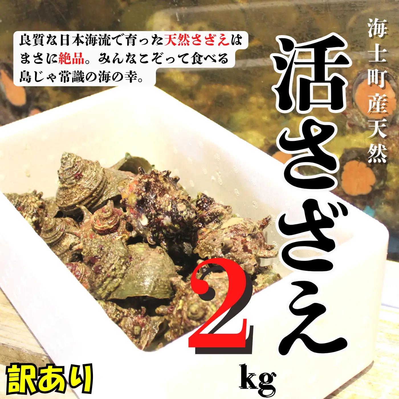 訳あり サザエ 2kg 20個前後 サザエ 海士町産