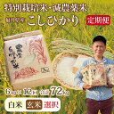 【ふるさと納税】〈先行予約〉【定期便12回】令和6年 新米 福井県産　減農薬米 こしひかり 6kg（玄米・白米選択可）/ 送料無料 福井県 越前市 米 コシヒカリ 減農薬 2024年度産 5kg〜10kg（18209）