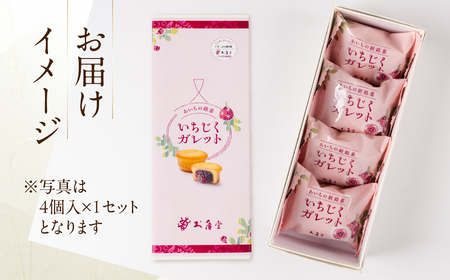いちじくガレット 4個 お菓子 おかし いちじく ガレット 洋菓子 紅茶 コーヒー 相性抜群 高評価 お楽しみ 送料無料 豊橋市