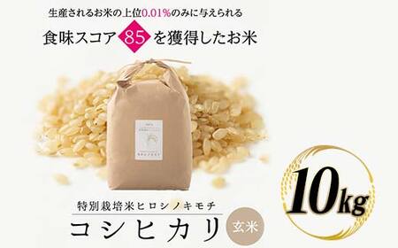 特別栽培米 コシヒカリ ヒロシノキモチ 玄米 10kg ブランド米 銘柄米 国産 米 お米 日本米 ギフト 贈り物 備蓄 防災 食品 陽咲玲 はるざれ F6T-1086