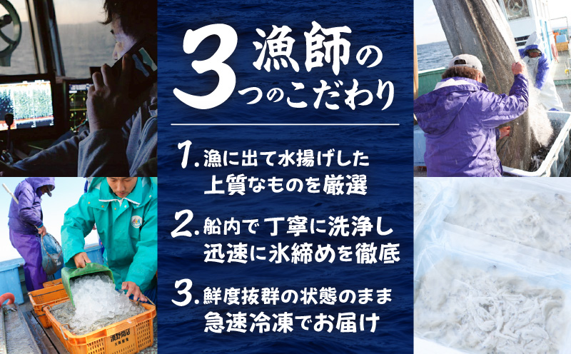 【スピード発送】泉州さわら 片身 約1kg【漁師 目利き 海鮮 鰆 泉州 新鮮 産地直送 急速冷凍】 G2188-3