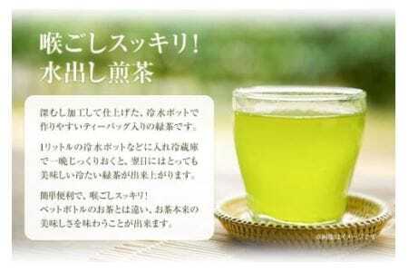 水出し煎茶 100g(10g×10個)  5袋 お茶処茶里庵 さりあん《90日以内に出荷予定(土日祝除く)》徳島県 美馬市 お茶 茶 緑茶 日本茶 煎茶 深蒸し煎茶 深蒸し 水出し ティーバッグ ティ