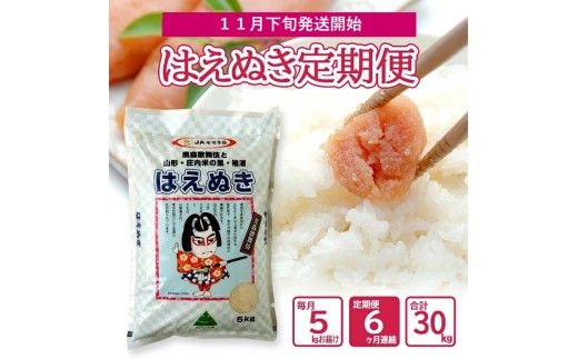 11月下旬発送開始／【6回定期便】令和8年産 ［精米］はえぬき　5kg×6回(計30kg) JS　SG0172