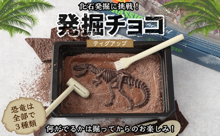 発掘チョコ ディグアップ 250g