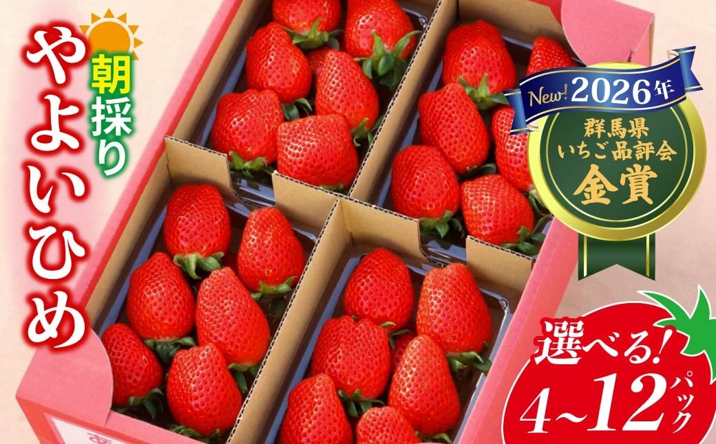 
                  いちご やよいひめ 2026年いちご品評会金賞受賞 4パック/12パック/4ヵ月定期便 選べる容量・回数 | 朝採れ イチゴ 苺 高品質 たっぷり 新鮮 完熟 旬 ストロベリー 高級 産地直送 果汁 甘い あまい 人気 高評価 高糖度 ごほうび プレゼント 朝採れ 贈答用 群馬県 前橋市
                