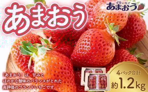 千年いちご あまおうイチゴ (300g×4パック) 3月お届け あまおう いちご イチゴ 苺 フルーツ 果物 冷蔵 送料無料 福岡県 うきは市 【2026年3月より順次発送予定】