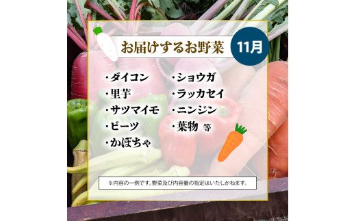 【先行受付】 旬のお野菜セット 詰め合わせ （7～10品目） 7月以降 発送 旬 野菜 国産 こだわり 京都府産 京丹波町産 季節 セット 有機肥料 化学農薬不使用 化学肥料不使用 除草剤不使用 おいしい おすすめ 一人暮らし